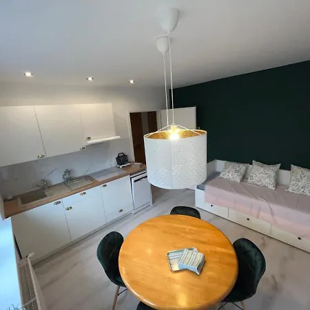 Zen - Przytulne Mieszkanie. Mieroszow, Sokolowsko, 2 Km Do Czech.